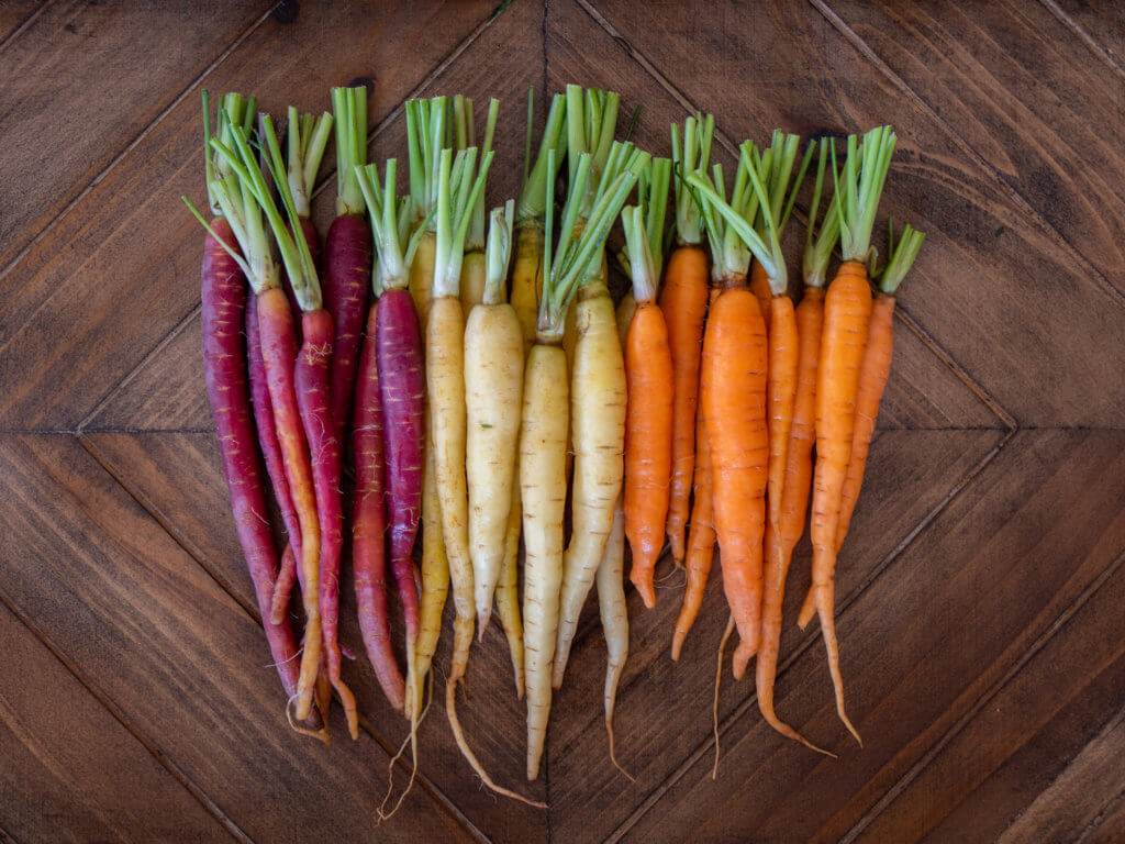 colorful carrots on wood
