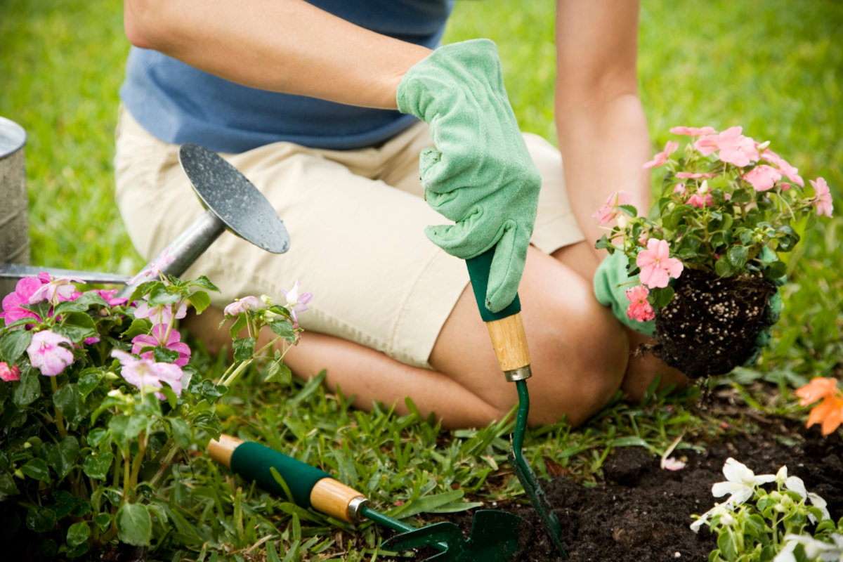 person kneeling and gardening