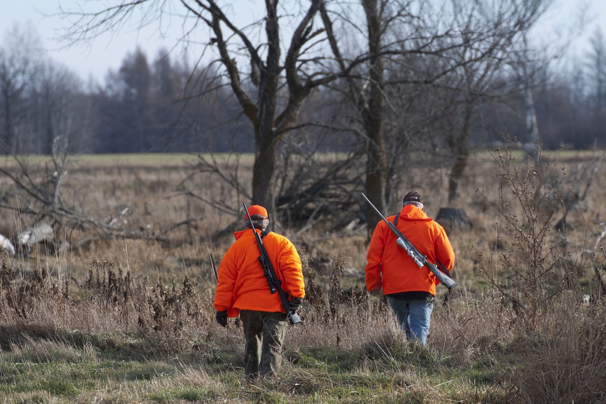 two men in blaze orange walking by tree and holding rifles